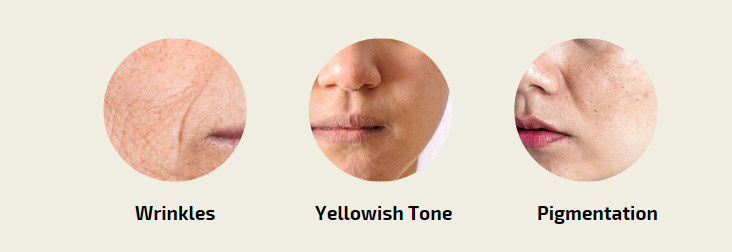 Sun Kissed Truth - 80% Of Aging 03